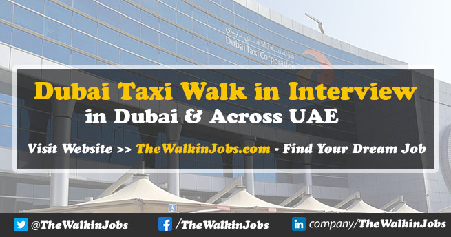 Dubai Taxi Walk in Interviews 