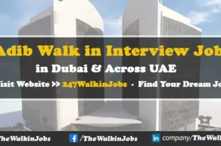 Adib Walk in Interview