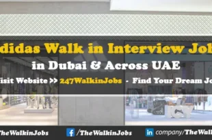 Adidas Walk in Interview Jobs