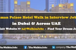 Ajman Palace Hotel Walk in Interview