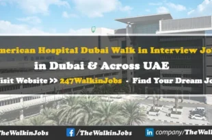 American Hospital Dubai Walk in Interview