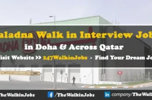 Baladna Walk in Interview