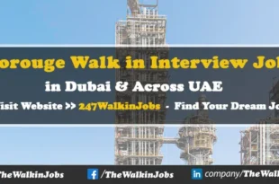 Borouge Walk in interview