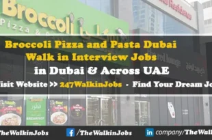 Broccoli Pizza and Pasta Dubai Careers