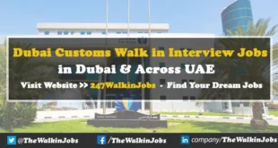 Dubai Customs Walk in interview Jobs