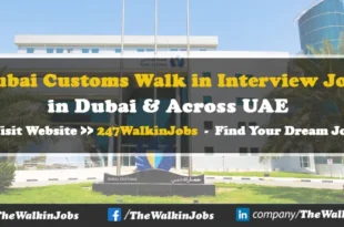 Dubai Customs Walk in interview Jobs