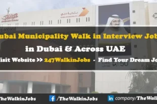 Dubai Municipality Walk in interview