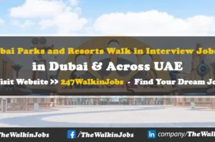 Dubai Parks and Resorts Walk in Interview