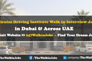 Emirates Driving Institute Careers