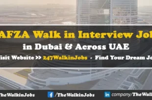 JAFZA Walk in Interview