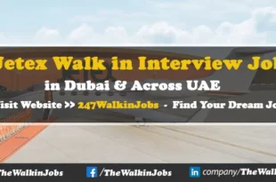 Jetex Walk in Interview