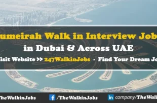 Jumeirah Walk in Interview Jobs