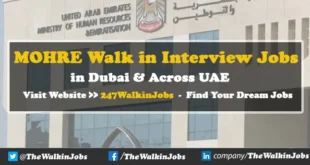 MOHRE Walk in interview Jobs