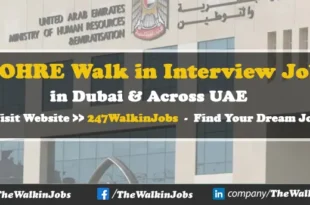 MOHRE Walk in interview Jobs