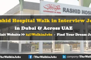 Rashid Hospital Walk in interview Jobs