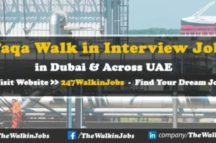 Taqa Walk in Interview